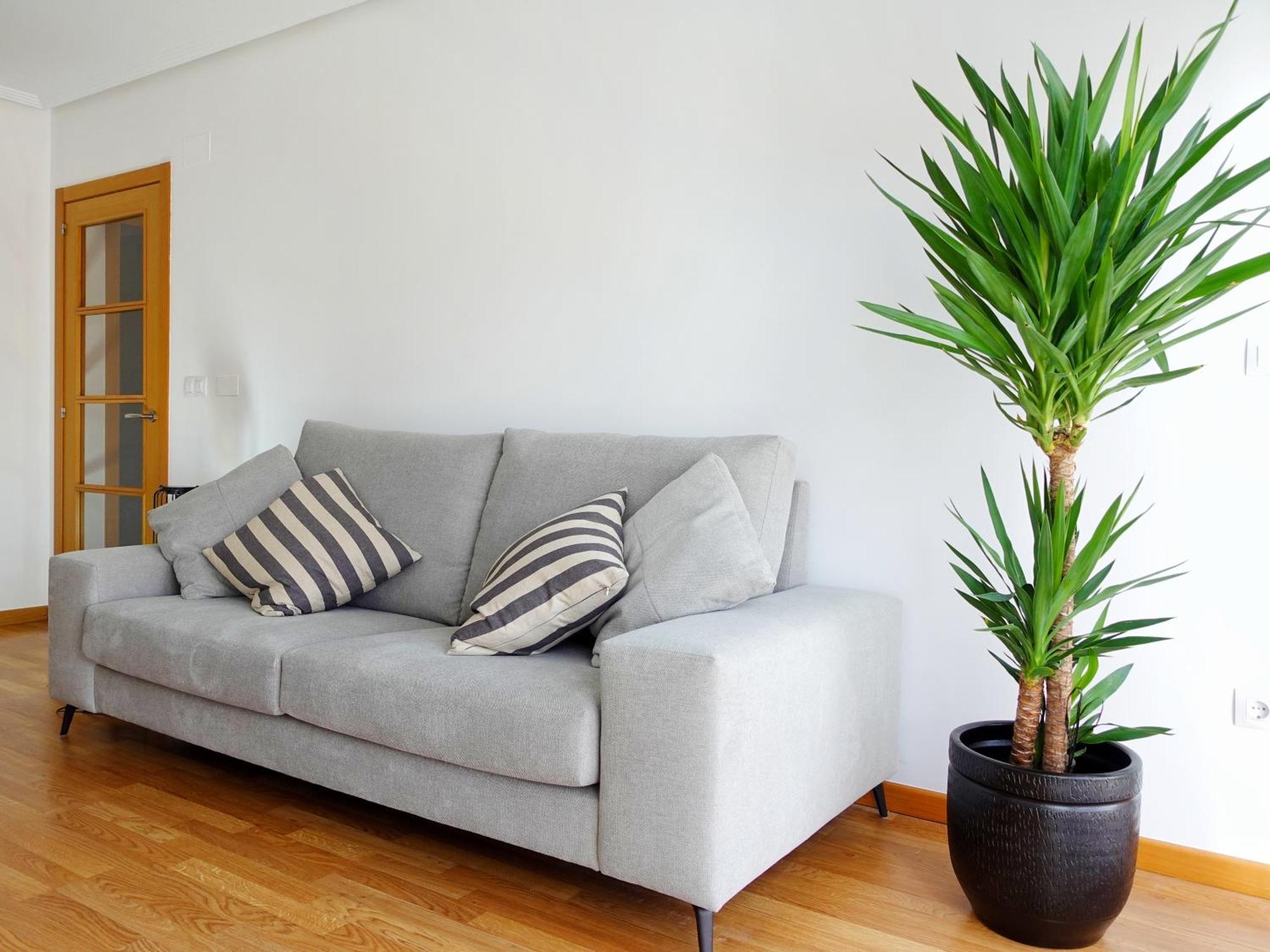 Atalaia Apartment Foz Extérieur photo